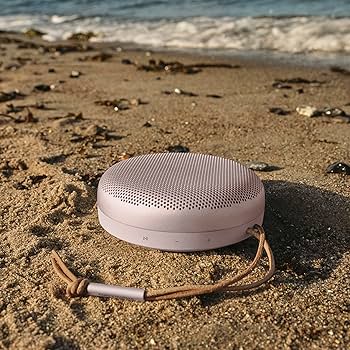 Amazon.com: Bang & Olufsen Beosound A1 (2nd Generation) Wireless