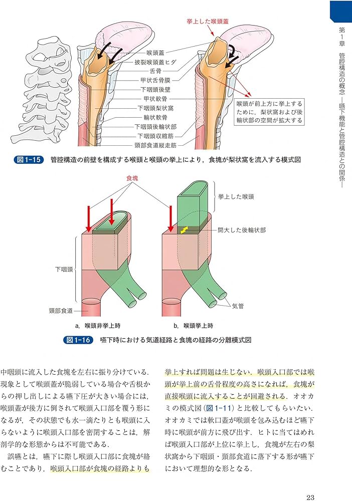 頭頸部外科診療に役立つ 頭頸部管腔構造の理解 | 西嶌 渡 |本 | 通販