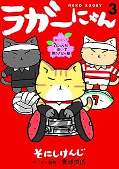 81Afsop8u8L._AC_UF350,