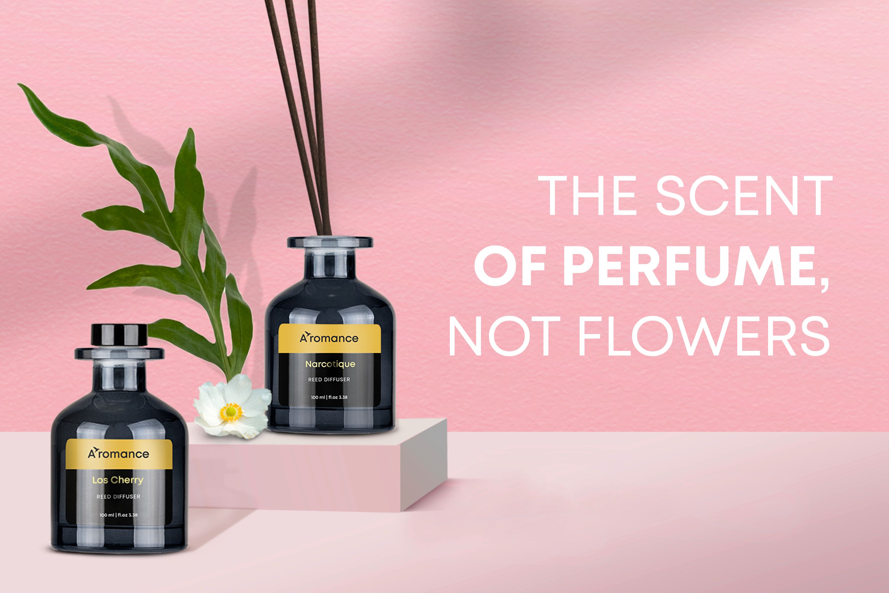 Amazon.com: Aromance Home Sport Reed Diffuser Set | Spicy Woody