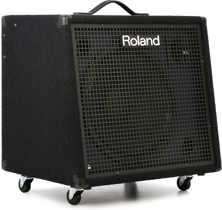 Amazon.com: Roland 4-Channel Stereo Mixing Keyboard Amplifier, 200