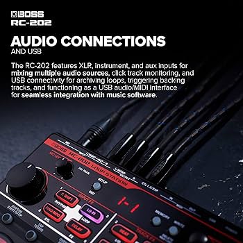 Amazon.com: BOSS RC-202 Loop Station | Fingertip Looping for