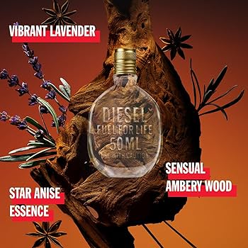 Amazon.com: Diesel Fuel for Life Eau de Toilette Spray Perfume for