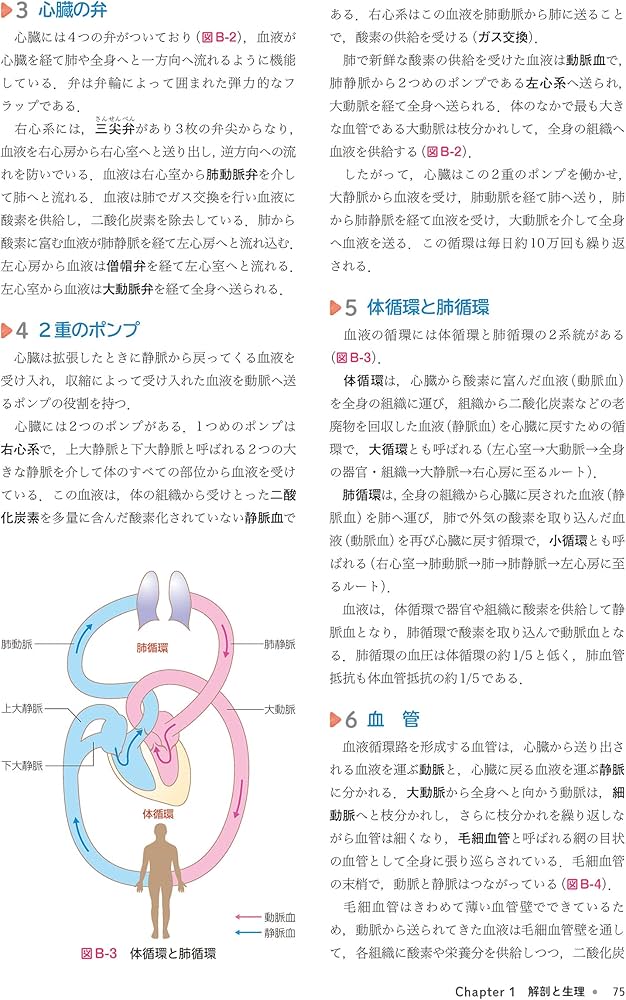 看護のための臨床病態学 | 浅野 嘉延, 吉山 直樹 |本 | 通販 | Amazon