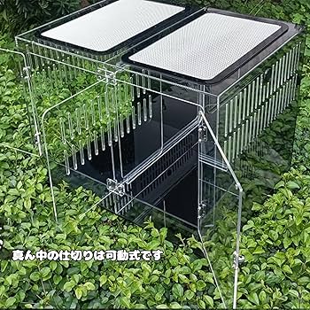 Amazon | 40cm30cm30cm爬虫ケージ 中間仕切り付き2匹のペットを隔離