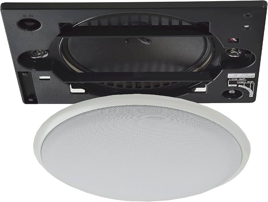 Amazon.co.jp: オースミ電機 （ MASSIVE ） 天井埋め込み型スピーカー