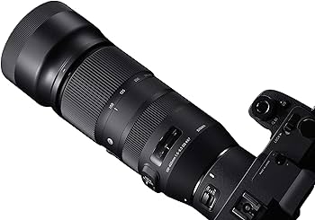 Amazon.com : Sigma 100-400mm f/5-6.3 DG OS HSM Contemporary Lens