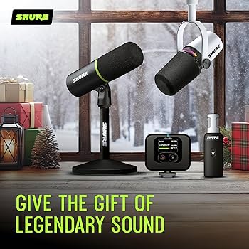 Amazon | 【国内正規品】SHURE ダイナミック マイクロフォン BETA58A