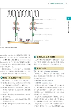 細胞診を学ぶ人のために 第6版 | 坂本 穆彦 |本 | 通販 | Amazon