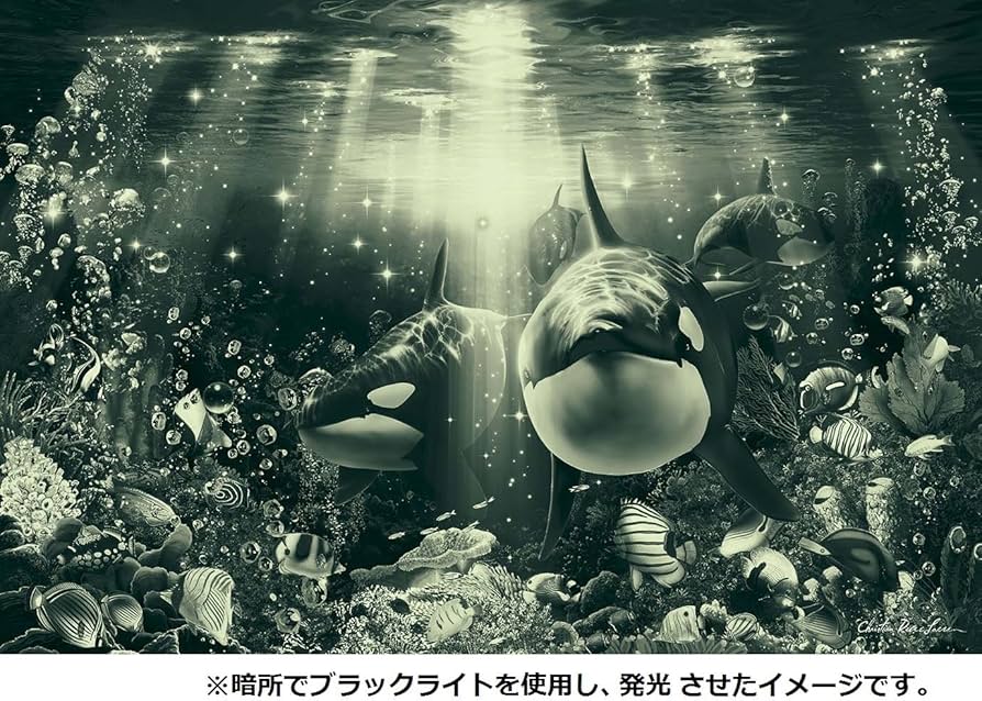 Amazon | 1000ピース 光るジグソーパズル めざせ! パズルの達人