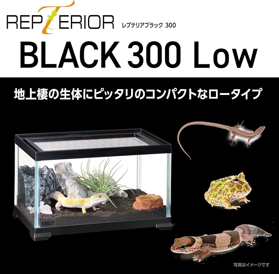 Amazon | EXO TERRA エキゾテラ レプテリアブラック 300Low 小型爬虫類