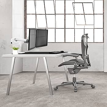 Amazon.co.jp: ERGOTRON エルゴトロン LX モニターアーム デスク