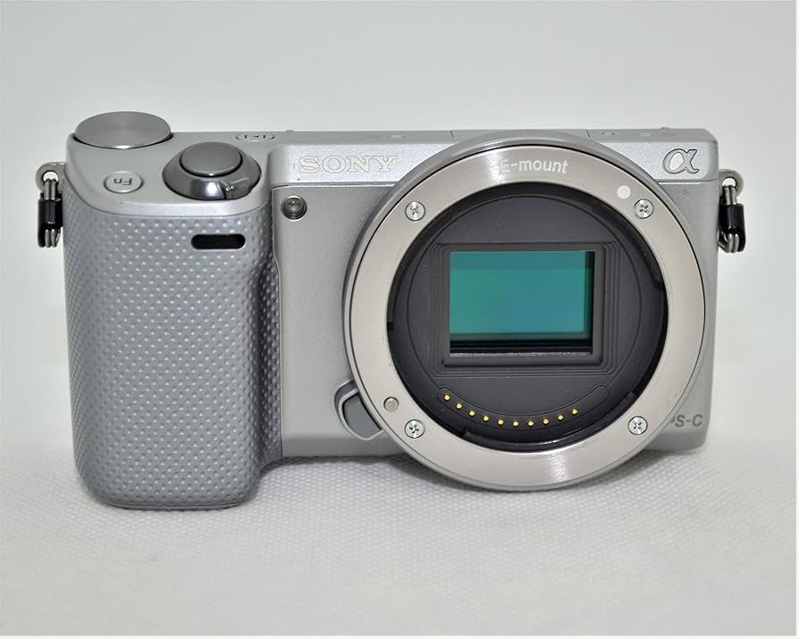 Amazon | NEX-5R シルバー ボディ | Sony | ミラーレス一眼