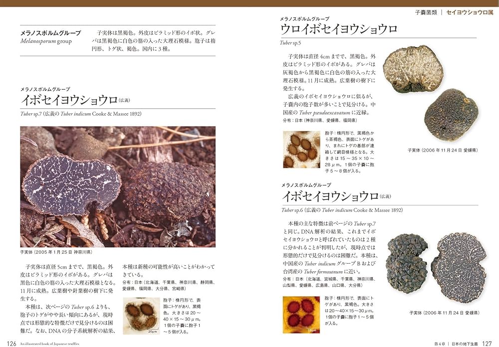 Amazon.co.jp: 地下生菌識別図鑑: 日本のトリュフ。地下で進化した
