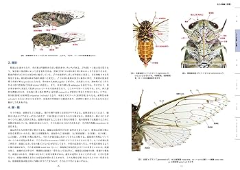 日本鱗翅目同好会 会報1967年～1974年ファイリング 研究者用 調査資料