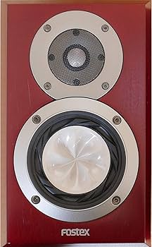 Amazon.co.jp: Fostex GX100 : 家電＆カメラ