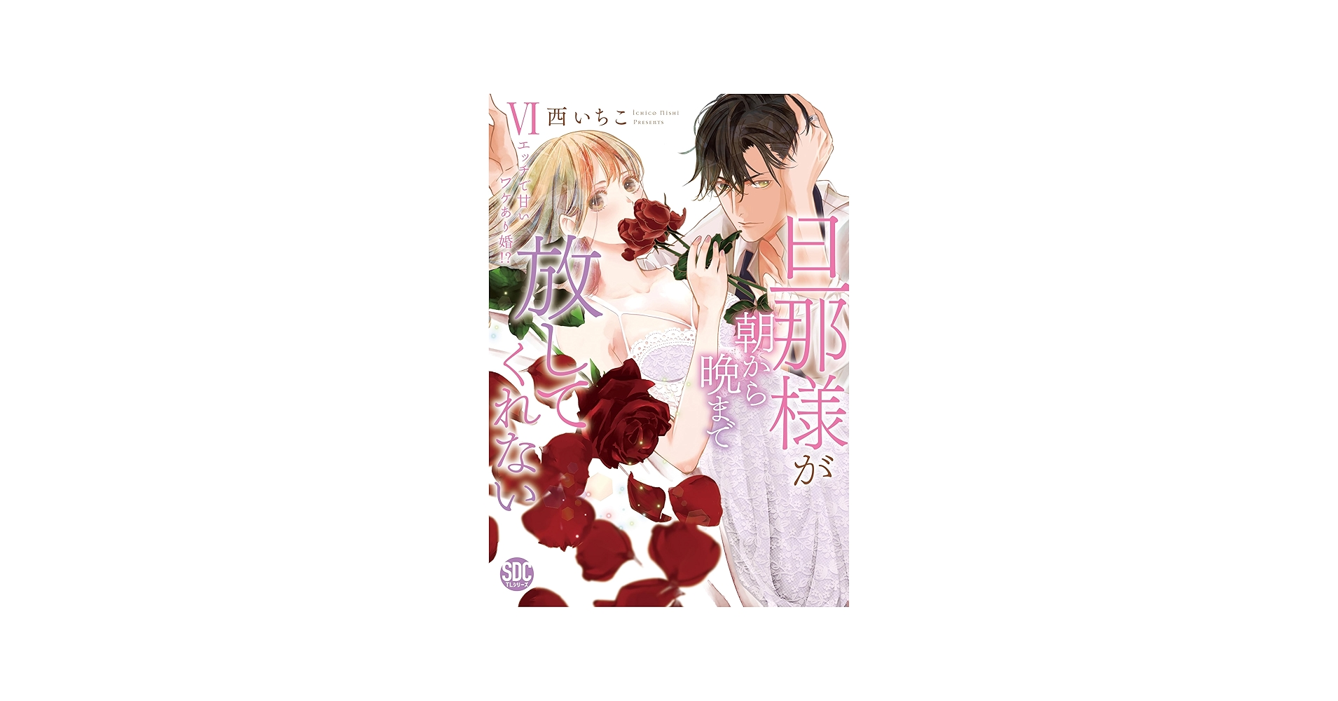 旦那様が朝から晩まで放してくれないⅥ（秋水デジタルコミックス