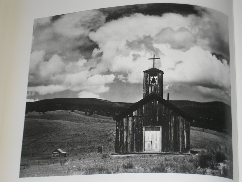 Edward Weston: Forms of Passion: Terence Pitts, Trudy Wilner Stock