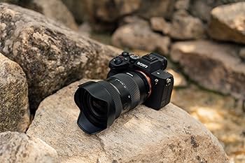 Amazon.co.jp: タムロン 17-50mm F/4 Di III VXD ソニーE用 (Model