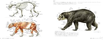 Amazon.co.jp: 幻獣デザインのための動物解剖学 : テリル・ウィット