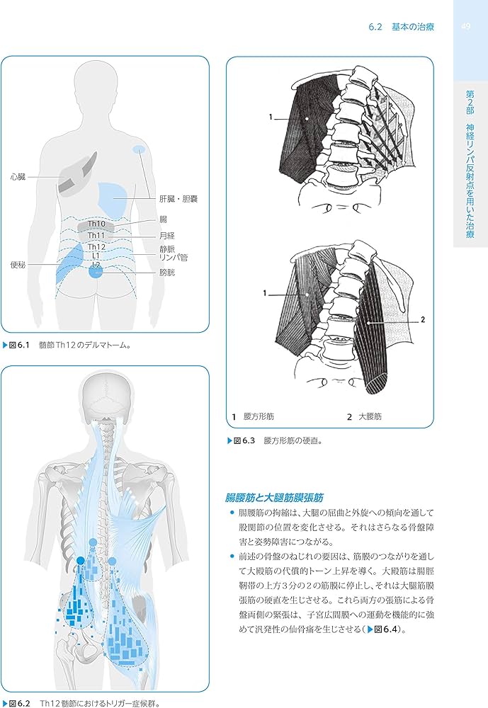 チャップマンとグッドハートによる 神経リンパ反射療法: マニュアル
