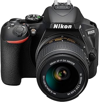 Amazon.com : D5600 DX-Format Digital SLR w/AF-P DX NIKKOR 18-55mm
