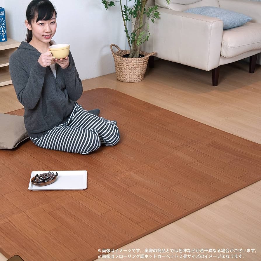 Amazon | 広電(KODEN) 電気カーペット ホットカーペット フローリング
