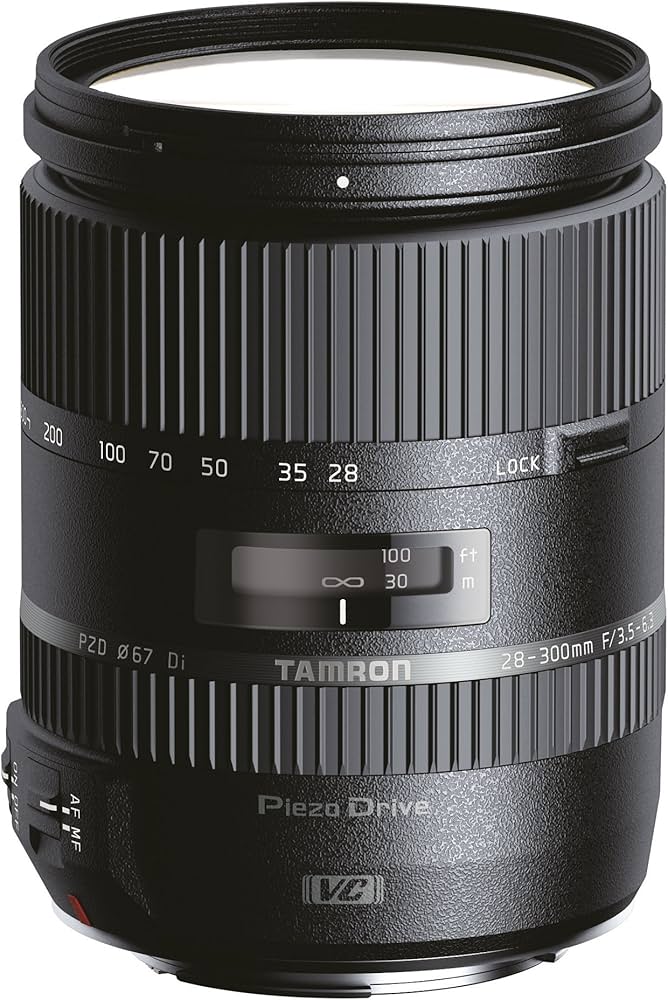 Amazon.com : Tamron 28-300 mm Di VC PZD Lens For Nikon DSLR
