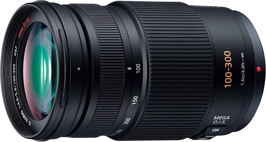 Amazon.com : Panasonic LUMIX G VARIO 100-300mm F4.0-5.6 MEGA O.I.S