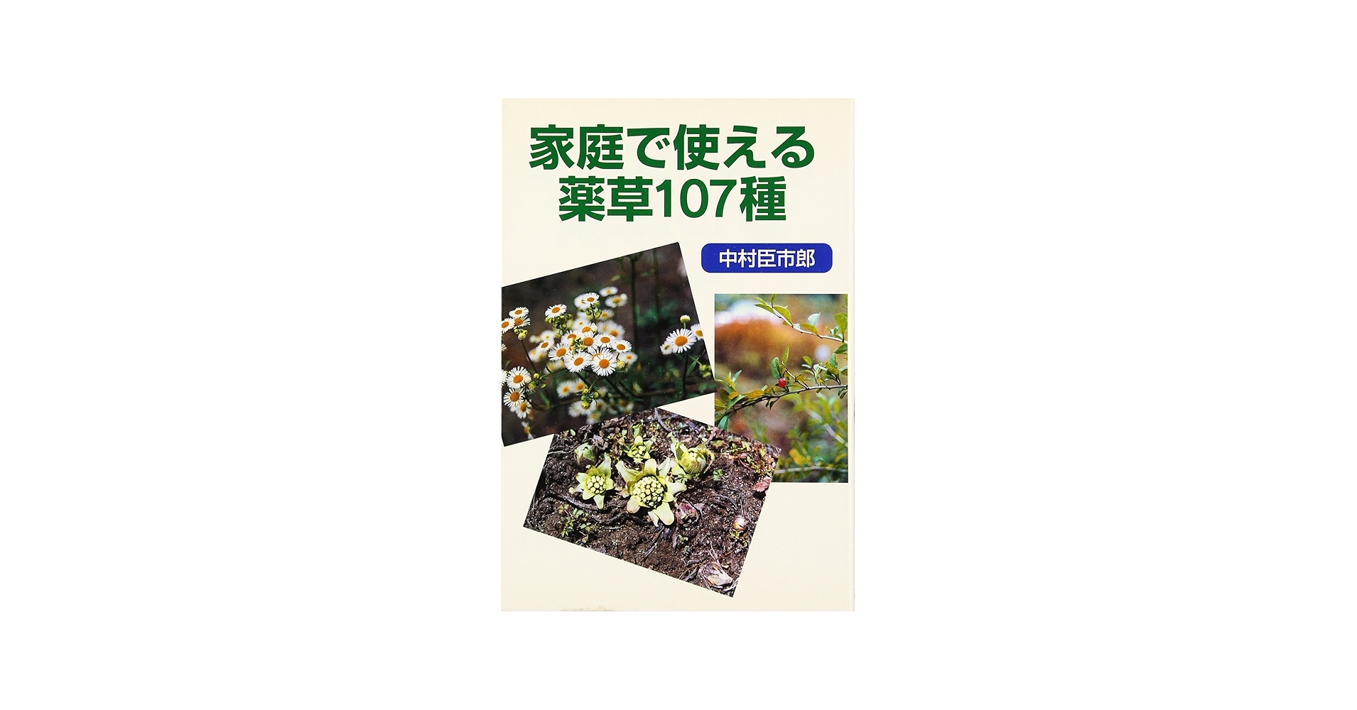 家庭で使える薬草107種 | 中村 臣市郎 |本 | 通販 | Amazon