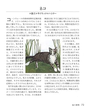 アニマルスピリットガイド (GAIA BOOKS) | クリス・ルティチャウ, 豊田