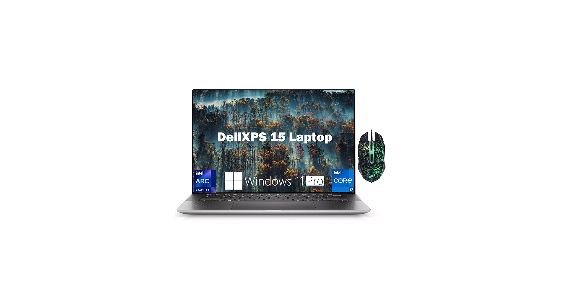 Amazon.com: Dell 2024 XPS 15 9530 Business Laptop, 15.6