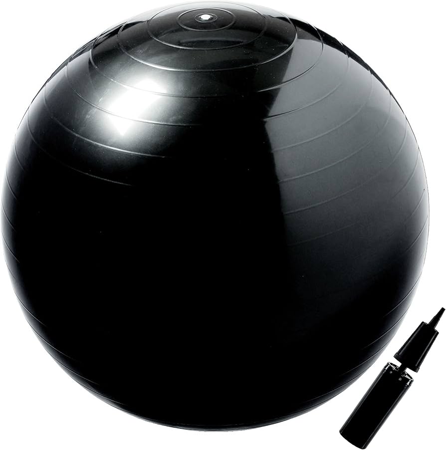 Amazon.co.jp: バランスボール 65cm ハンドポンプ付き ブラック 6662
