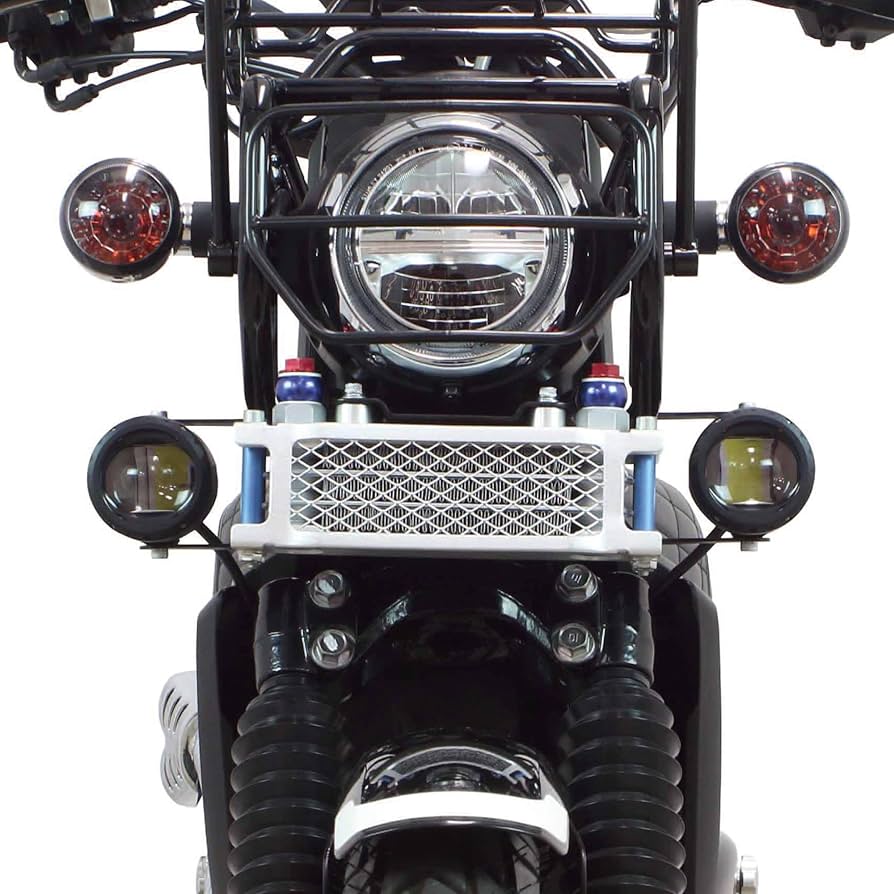 Amazon | スペシャルパーツ武川(TAKEGAWA) LEDフォグランプキット