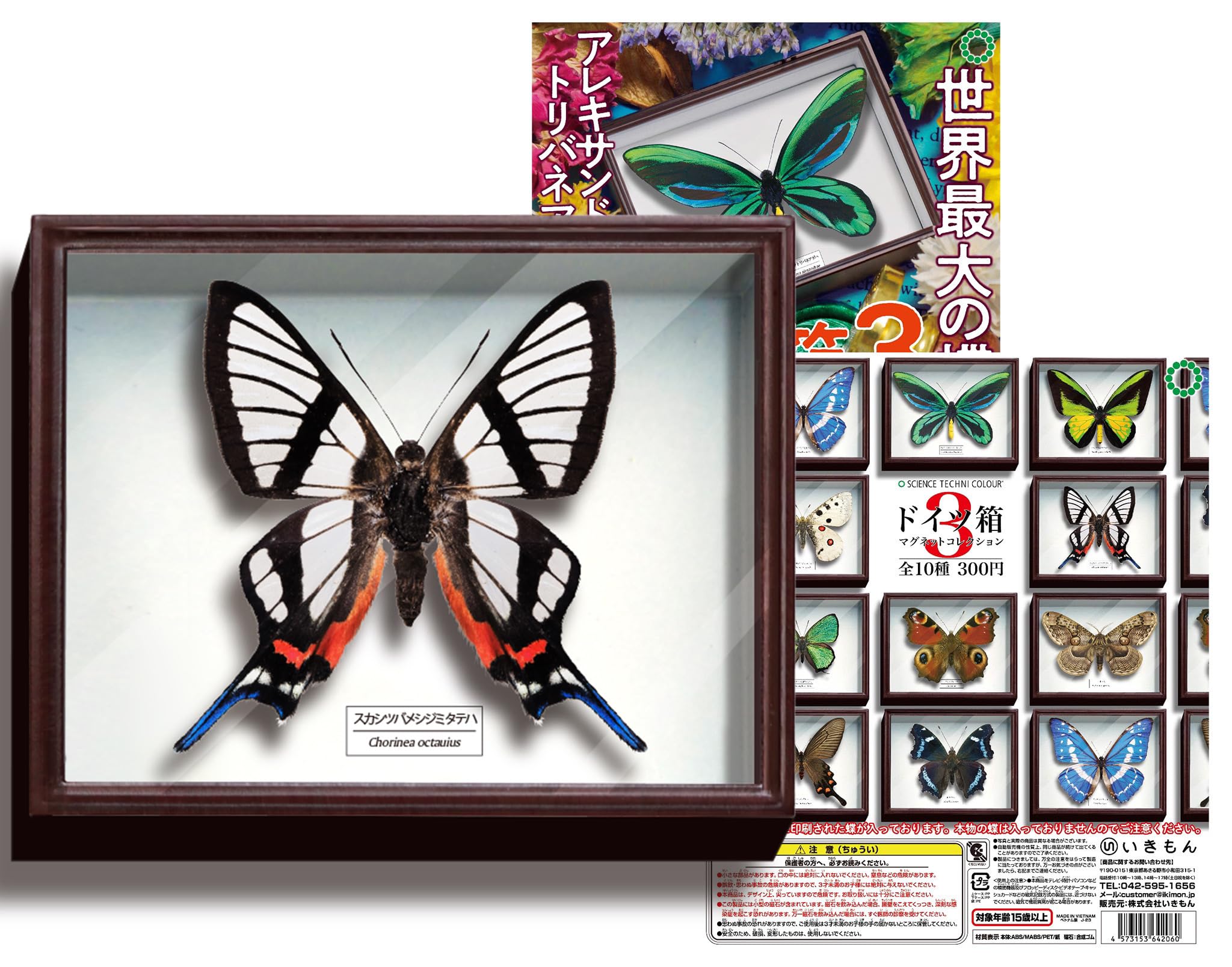 志賀昆虫大型ドイツ箱2箱セット 大型標本箱(ドイツ箱？)3個セット