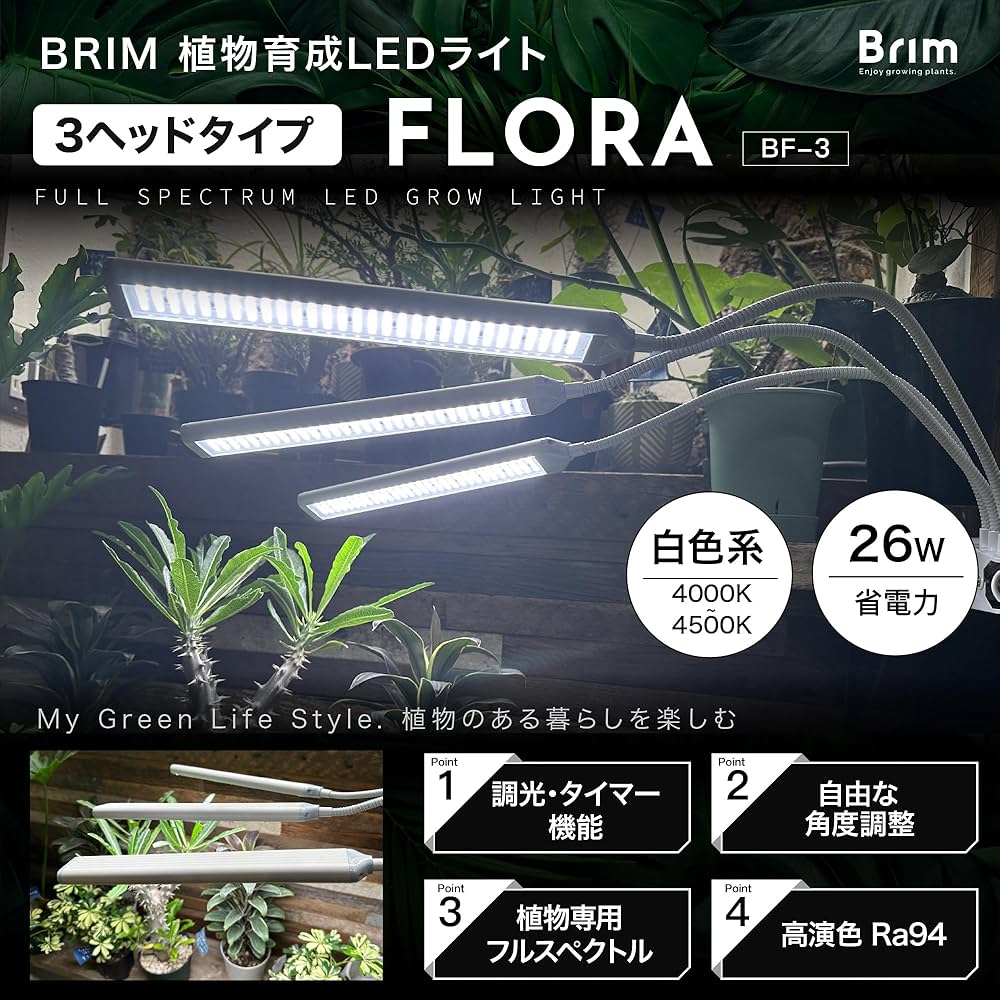 81HE7wKaazL._AC_UF1000,