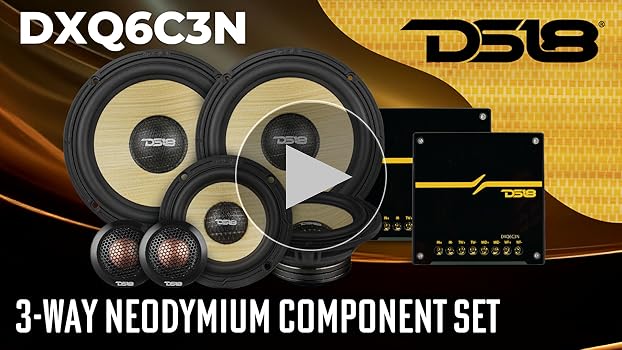 Amazon.com: DS18 DXQ6C3N 6.5