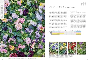 フローラ黒田園芸の草花図鑑（育て方・使い方がよくわかる） | 黒田