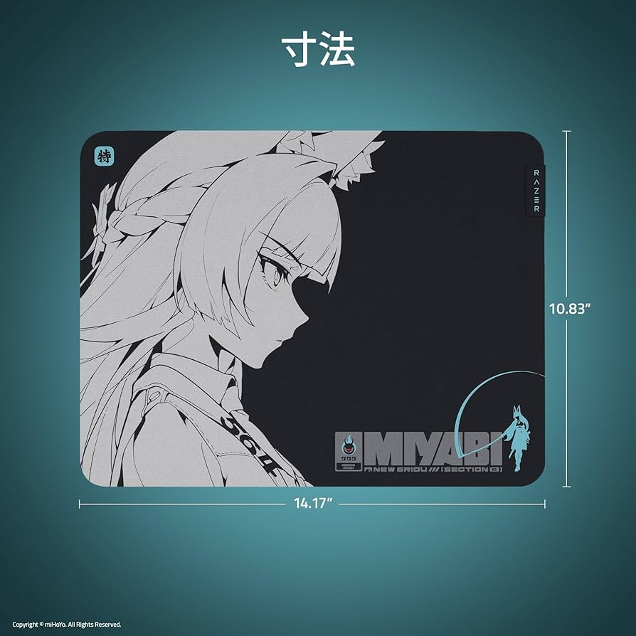 81ISp7pNV0L._AC_UF894,