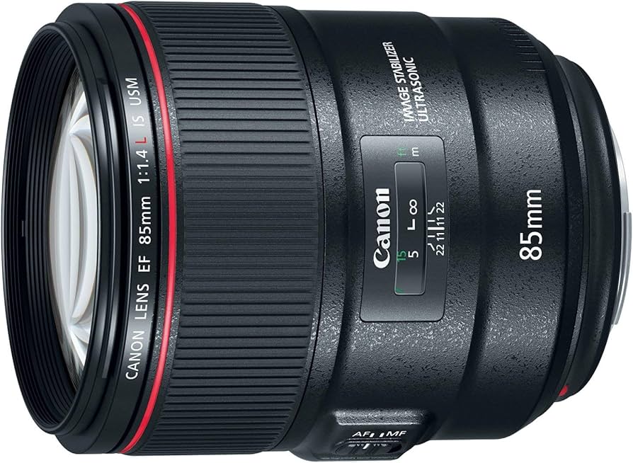 Amazon.com : Canon EF 85mm f/1.4L IS USM - DSLR Lens with IS