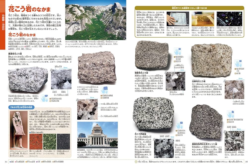 新版〕岩石・鉱物・化石 DVDつき (小学館の図鑑NEO 18) | 萩谷 宏