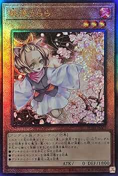 81KJt7TeV5L._AC_UF350,