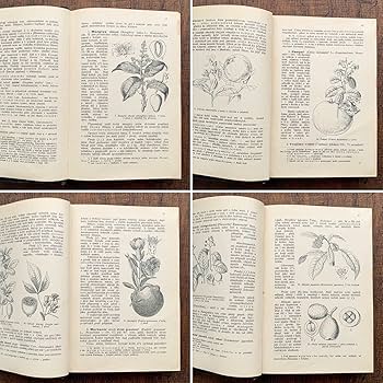 Amazon.co.jp: アンティークチェコの古い植物図鑑(Stromy a kre ovocne