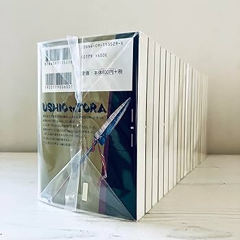 81KY-IX9HrL._AC_UF350,