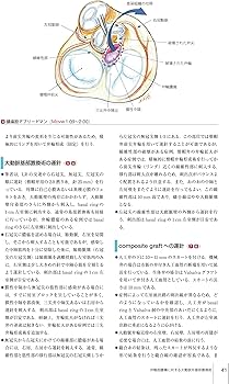 弁膜症の手術 (心臓血管外科手術エクセレンス) | 高梨 秀一郎, 坂東 興