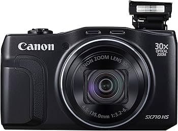 Amazon.com : Canon PowerShot SX710 HS (Black) : Electronics
