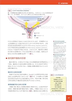 基礎と臨床の両側面からみた 胎盤学 | 日本胎盤学会 |本 | 通販 | Amazon