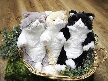 Amazon.co.jp: サンレモン ひざねこ すやすや S ハチワレ 15×18×34cm