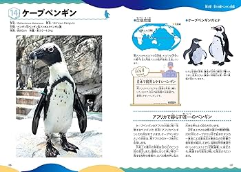 Amazon.co.jp: みんなが知りたい! ペンギンのすべて 空を飛ばない