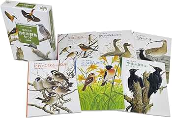 81LYNSWPADL._AC_UF350,